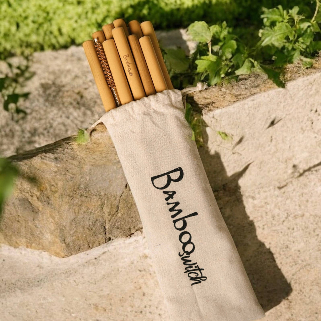 Bamboo Straws with Coconut Fiber Cleaner — Set of 10