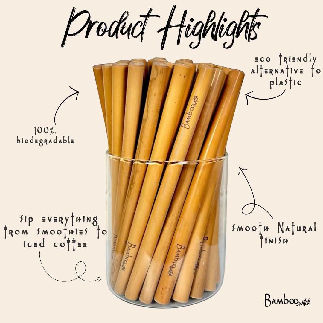 Bamboo Straws with Coconut Fiber Cleaner — Set of 10