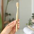 Compostable Bamboo Toothbrush